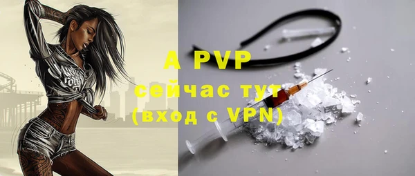 a pvp Бородино